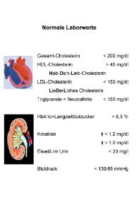 Laborwerte.jpg